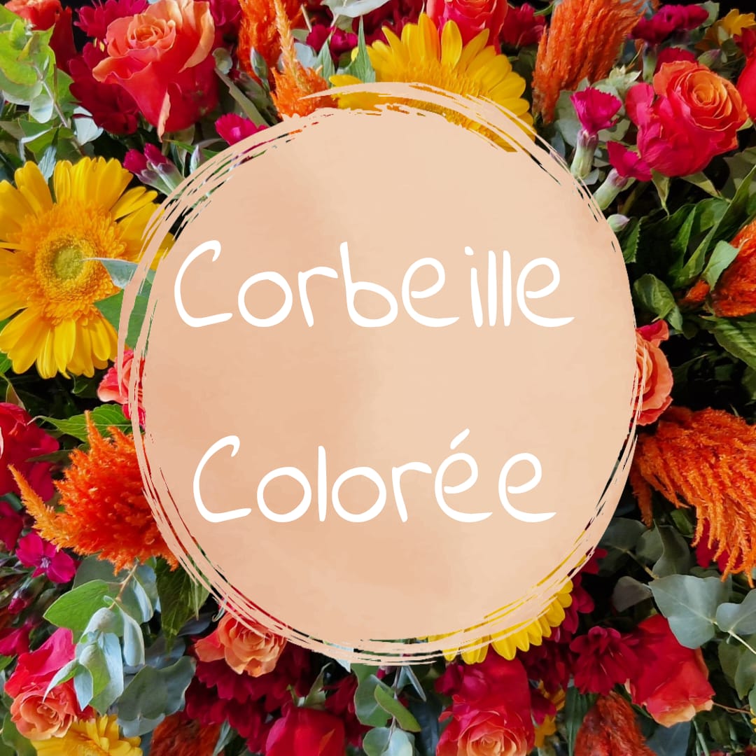 Corbeille Colorée