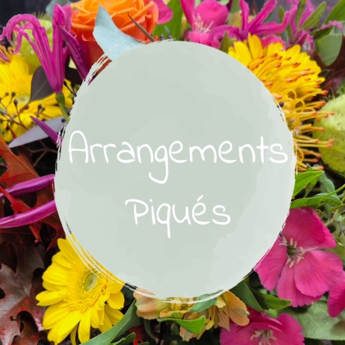 Arrangements Piqués